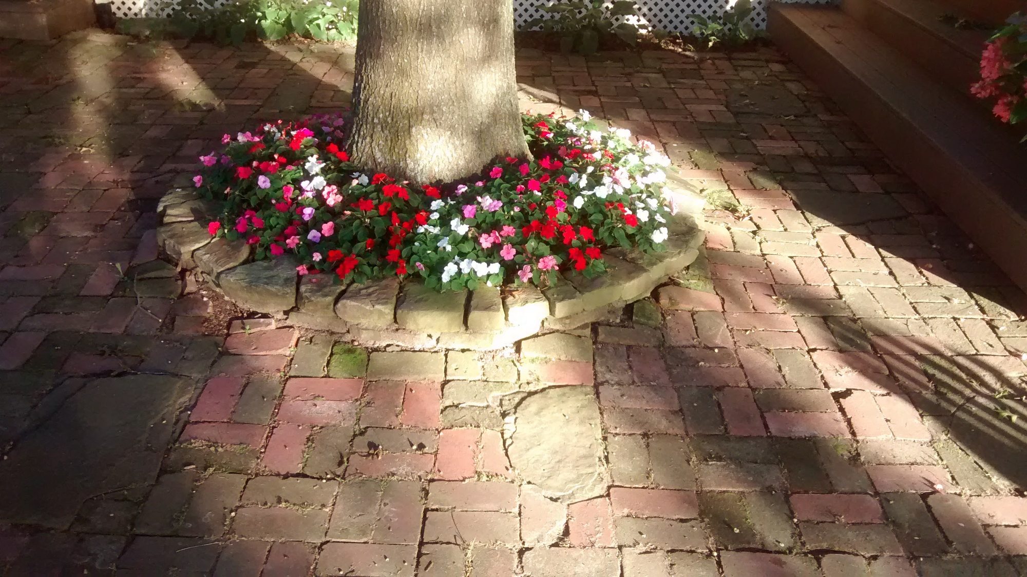 Circular stone flower bed with red, pink, and white impatiens around a tree on a brick patio, from Paul Hermes’ own photos.